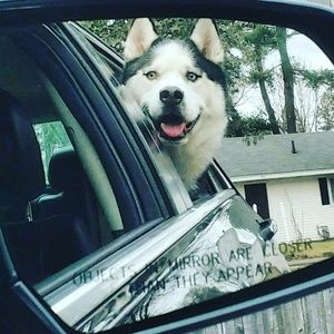 Meet your Posher, Kody